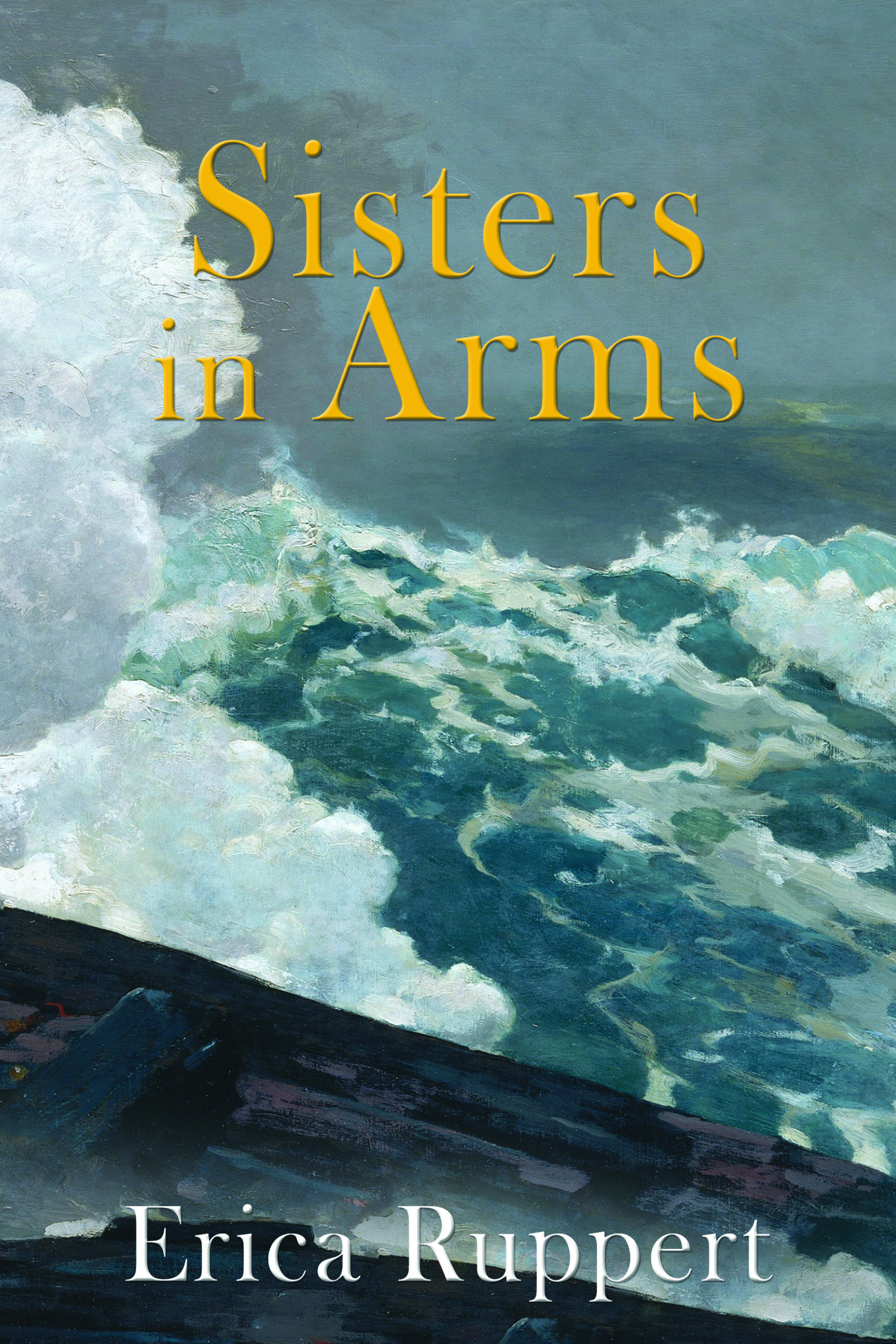 book review sisters in arms